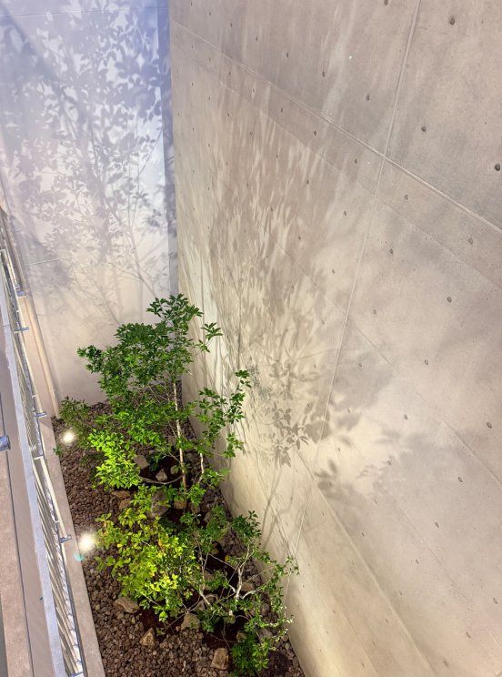 神戸市灘区深田町PJ植栽